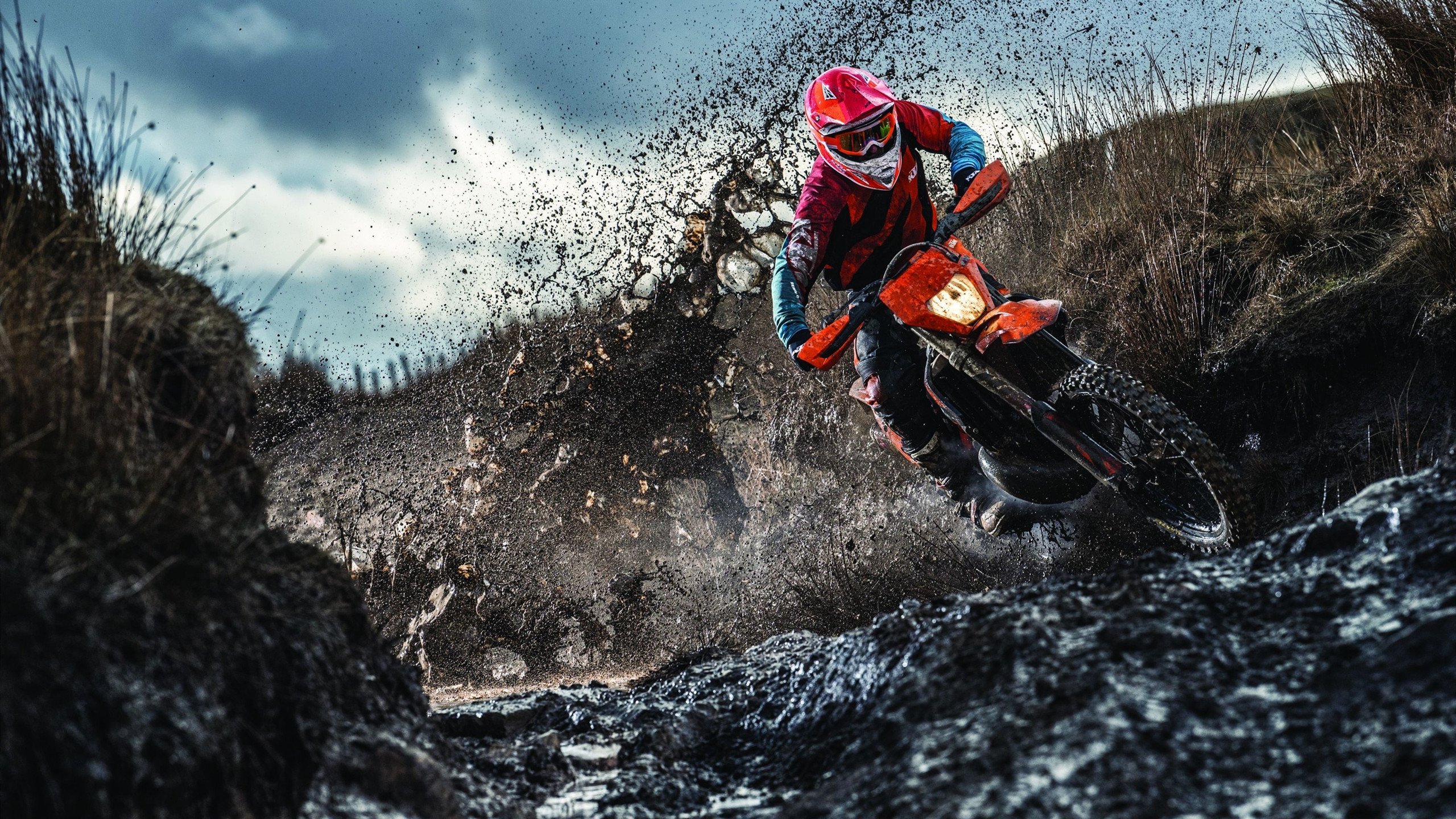 马赛爆冷阿尔及利亚,足球如何缝合破碎的认同